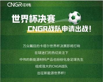 世界杯決賽 | CNGR戰(zhàn)隊(duì)申請(qǐng)出戰(zhàn)！